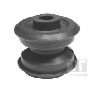 Variklio montavimas TEDGUM 00116695