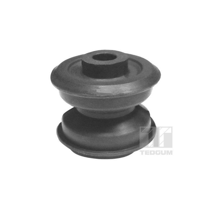 Variklio montavimas TEDGUM 00116695