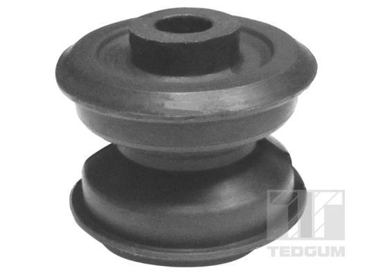 Variklio montavimas TEDGUM 00116695