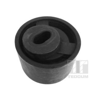 Variklio montavimas TEDGUM 00117145