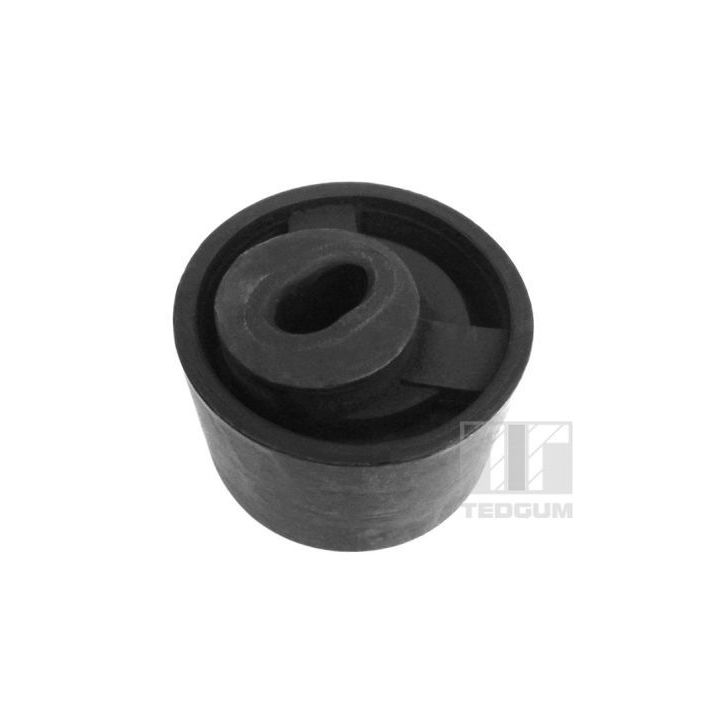 Variklio montavimas TEDGUM 00117145