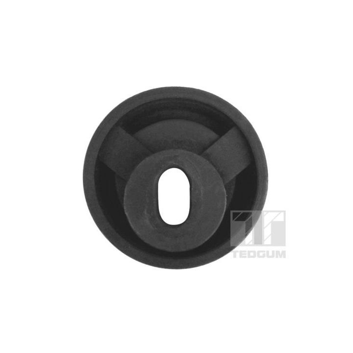 Variklio montavimas TEDGUM 00117145