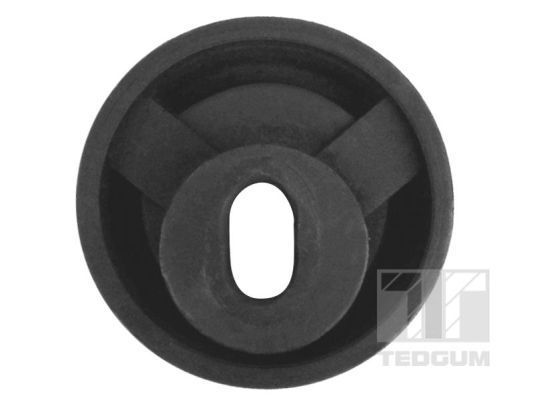 Variklio montavimas TEDGUM 00117145