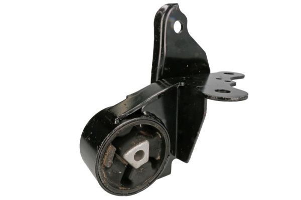 Variklio montavimas TEDGUM 00131530