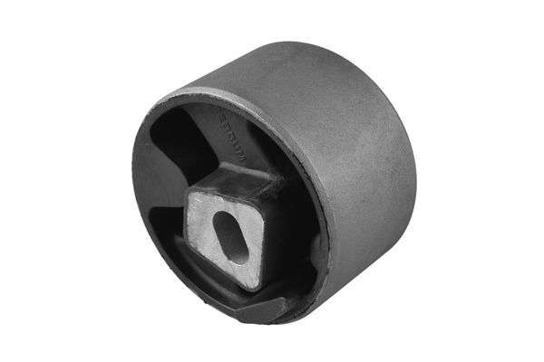 Variklio montavimas TEDGUM 00137940