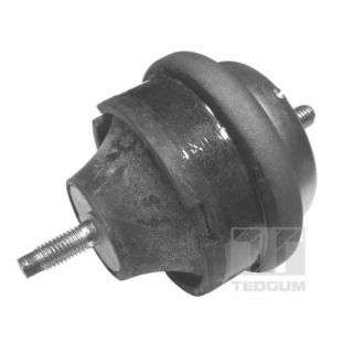 Variklio montavimas TEDGUM 00145015