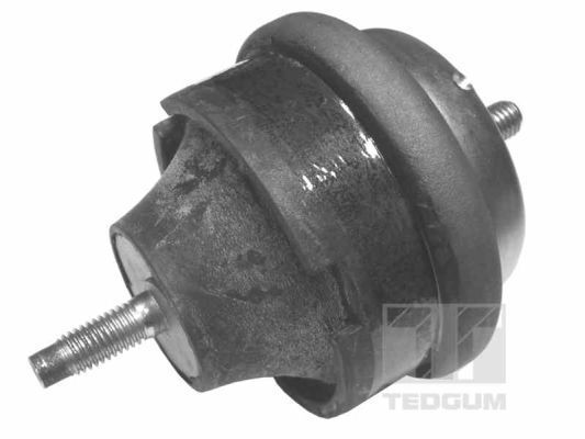 Variklio montavimas TEDGUM 00145015
