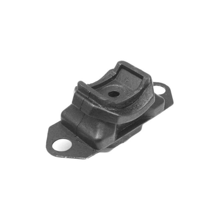 Variklio montavimas TEDGUM 00150819