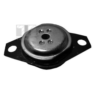 Variklio montavimas TEDGUM 00210392