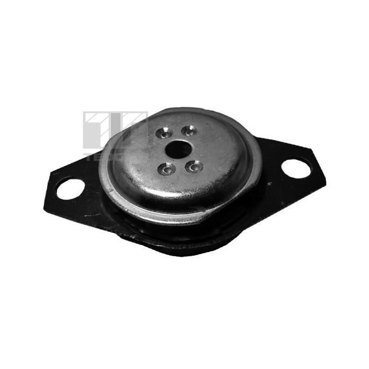 Variklio montavimas TEDGUM 00210392