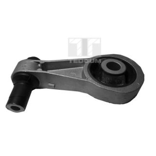 Variklio montavimas TEDGUM 00211319