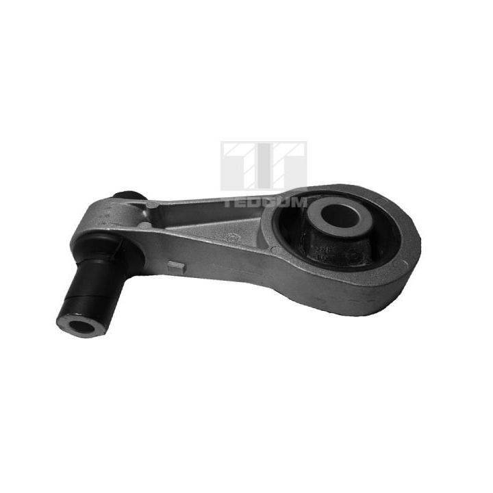 Variklio montavimas TEDGUM 00211319