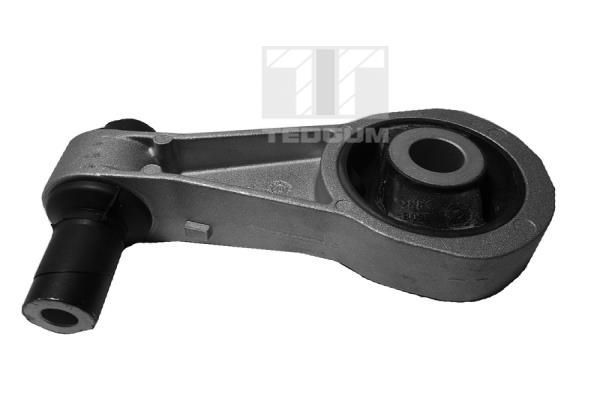 Variklio montavimas TEDGUM 00211319