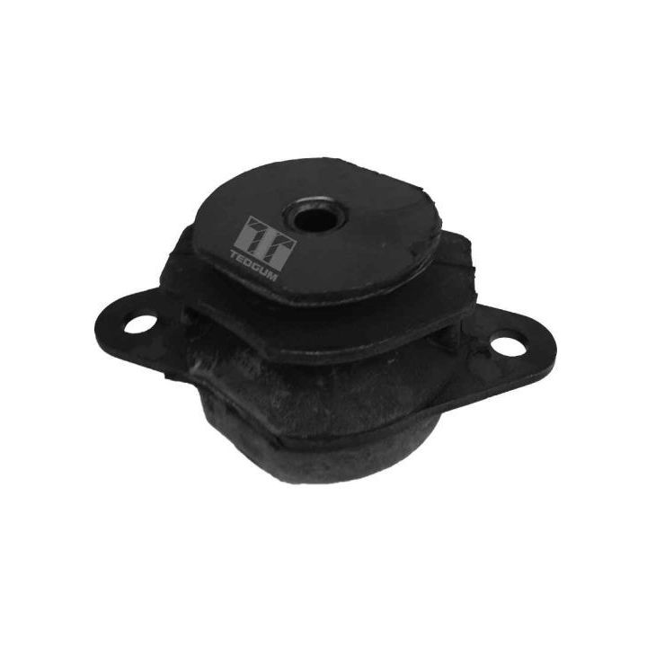 Variklio montavimas TEDGUM 00212973