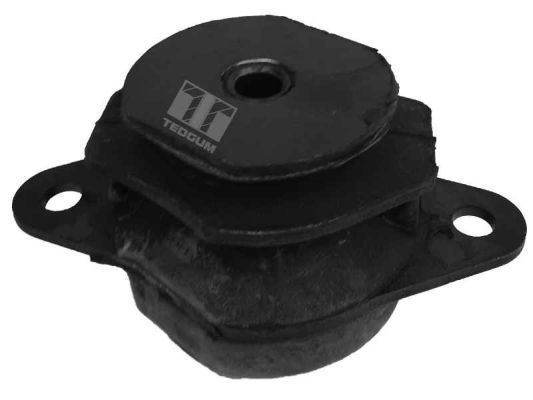 Variklio montavimas TEDGUM 00212973