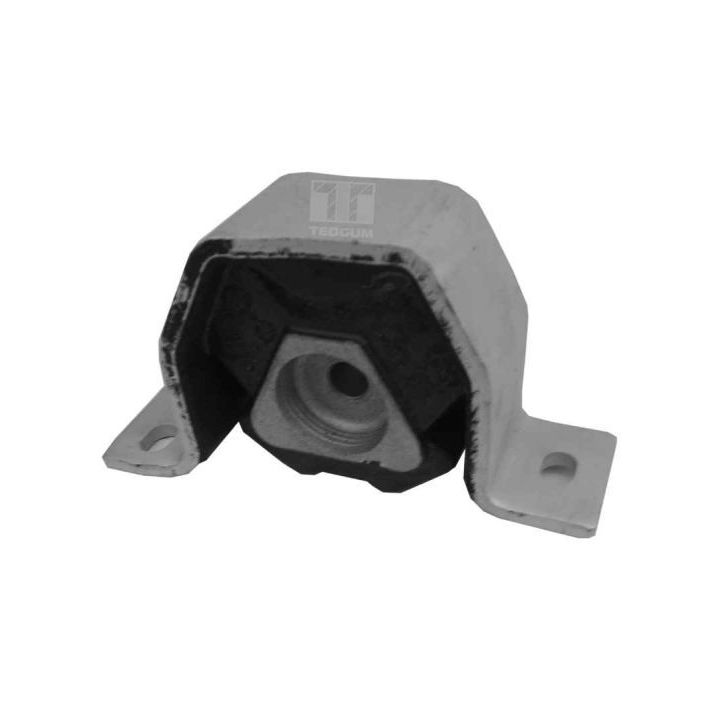 Variklio montavimas TEDGUM 00212975