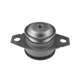 Variklio montavimas TEDGUM 00213221