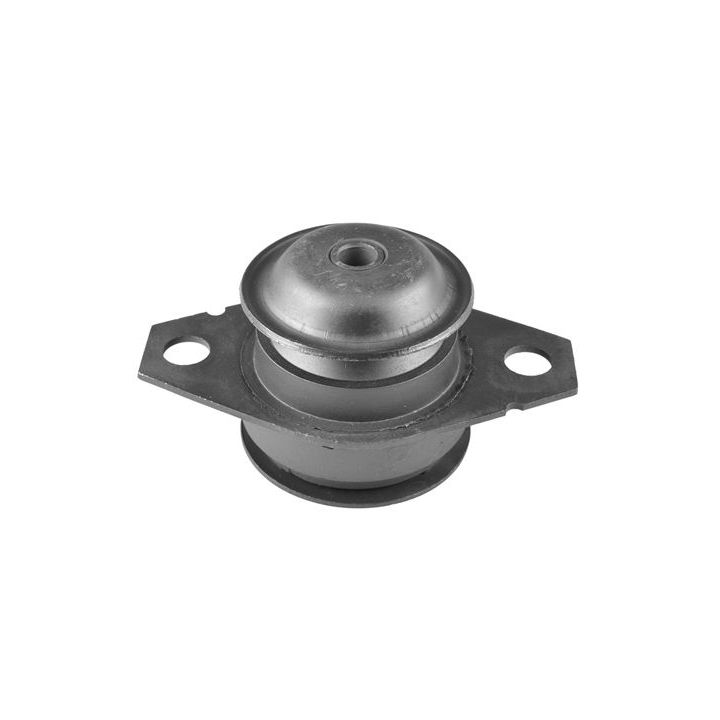 Variklio montavimas TEDGUM 00213221