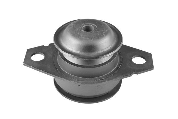 Variklio montavimas TEDGUM 00213221