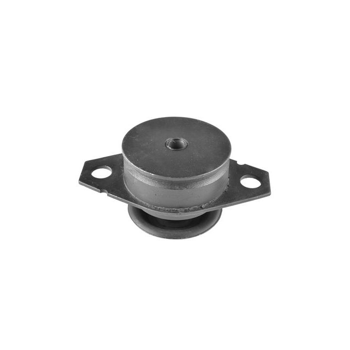 Variklio montavimas TEDGUM 00213221