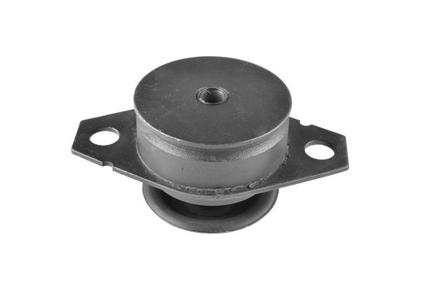 Variklio montavimas TEDGUM 00213221