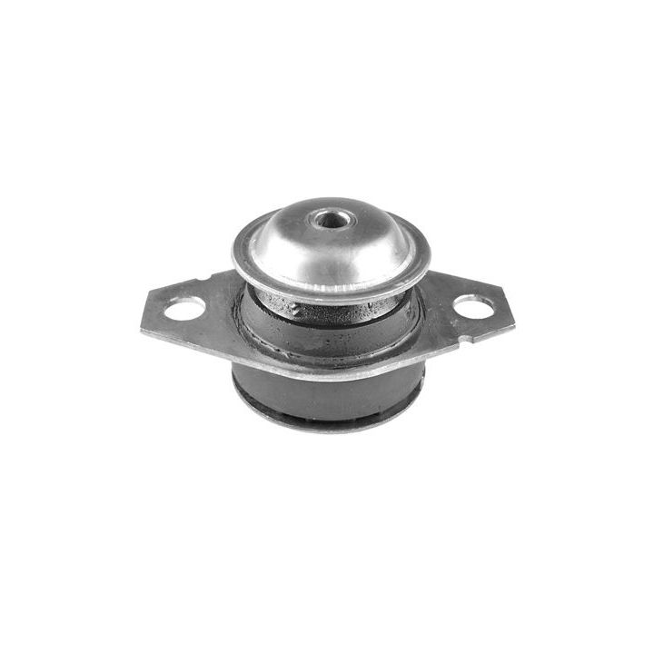 Variklio montavimas TEDGUM 00213222