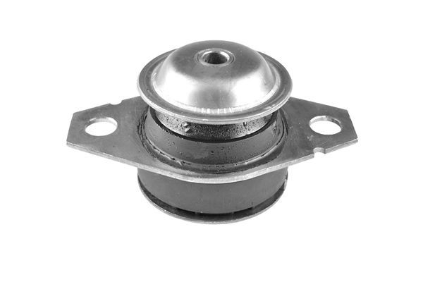 Variklio montavimas TEDGUM 00213222