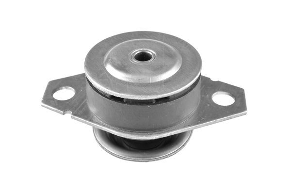 Variklio montavimas TEDGUM 00213222