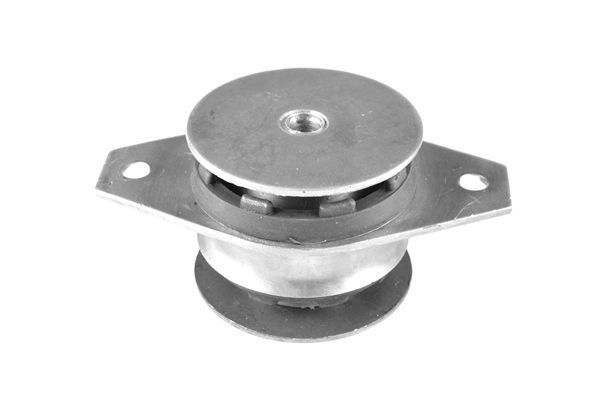 Variklio montavimas TEDGUM 00214179