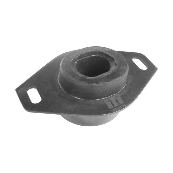 Variklio montavimas TEDGUM 00214223