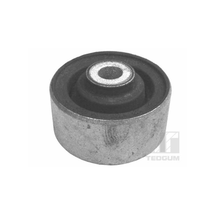 Variklio montavimas TEDGUM 00214892