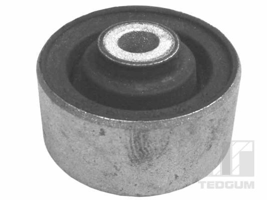 Variklio montavimas TEDGUM 00214892