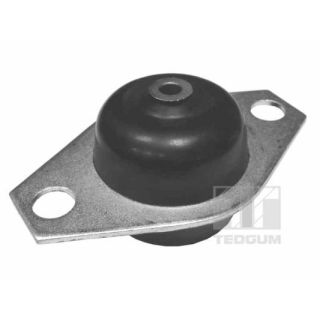 Variklio montavimas TEDGUM 00215059