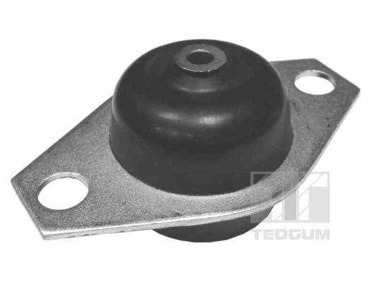 Variklio montavimas TEDGUM 00215059