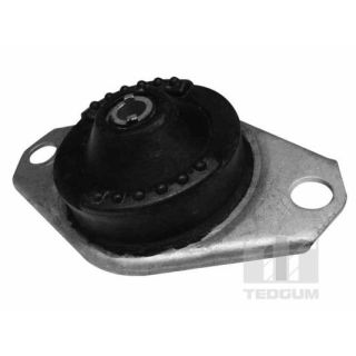 Variklio montavimas TEDGUM 00215723