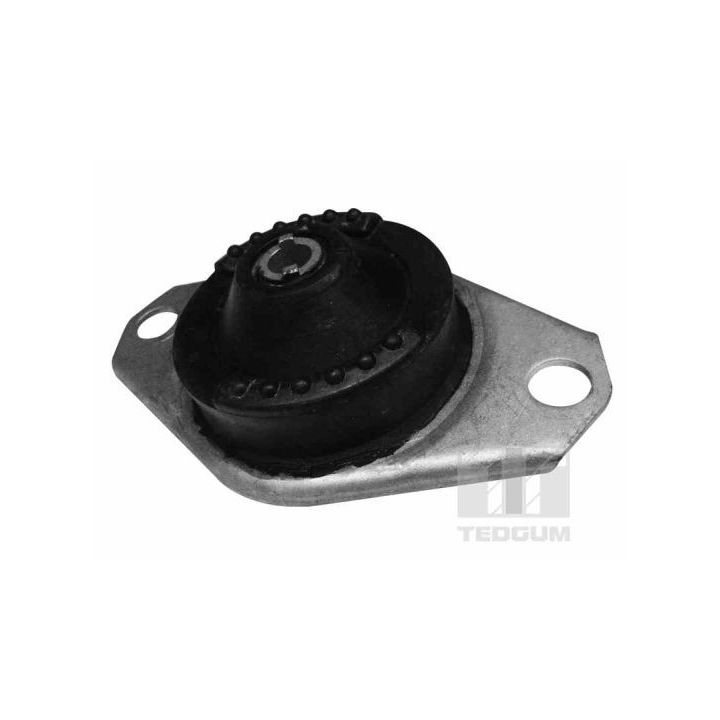 Variklio montavimas TEDGUM 00215723