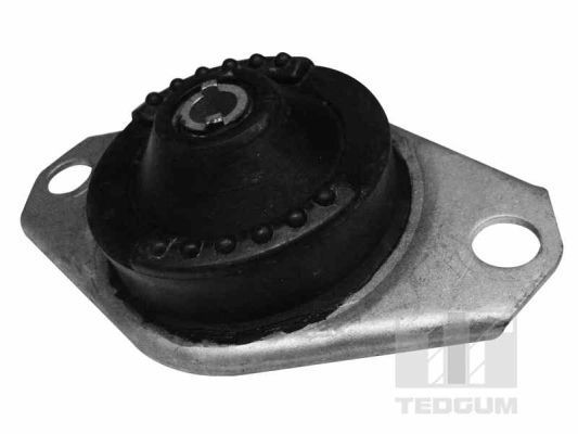 Variklio montavimas TEDGUM 00215723