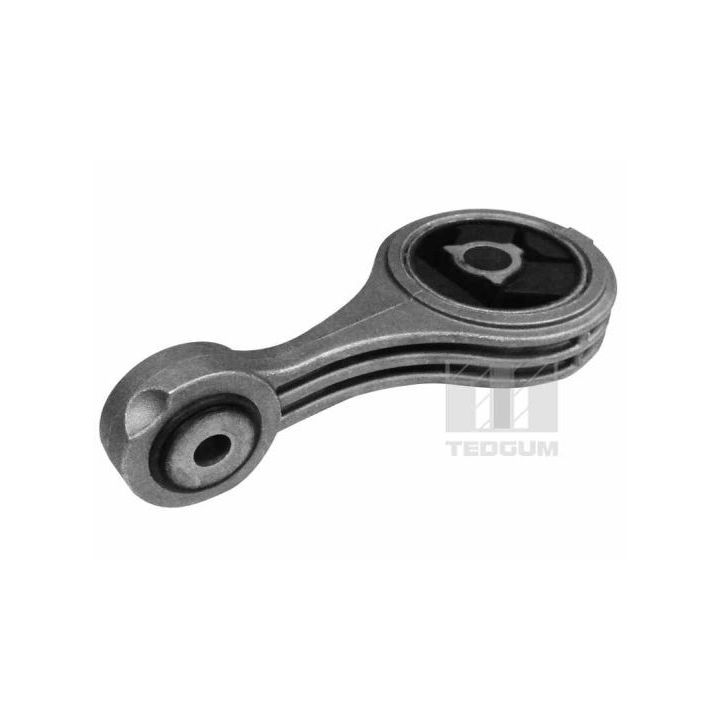 Variklio montavimas TEDGUM 00216206