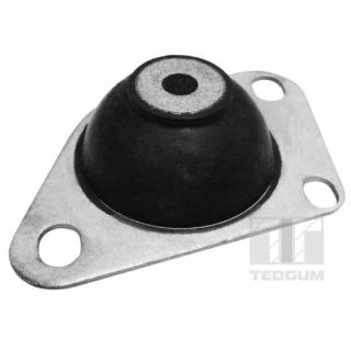 Variklio montavimas TEDGUM 00216214