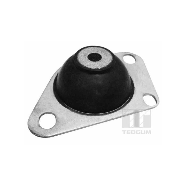 Variklio montavimas TEDGUM 00216214