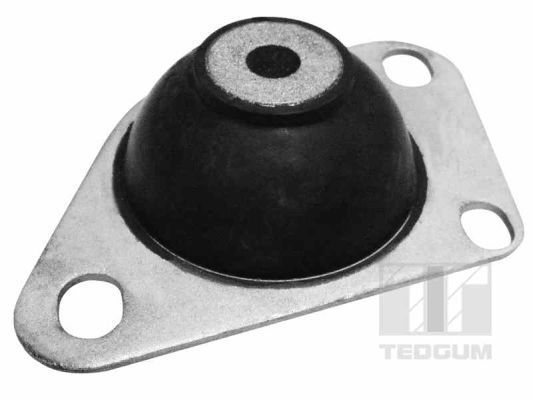 Variklio montavimas TEDGUM 00216214