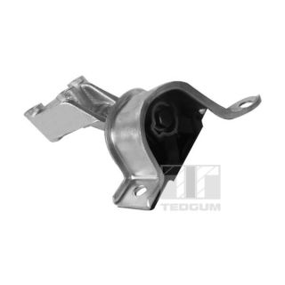 Variklio montavimas TEDGUM 00219179