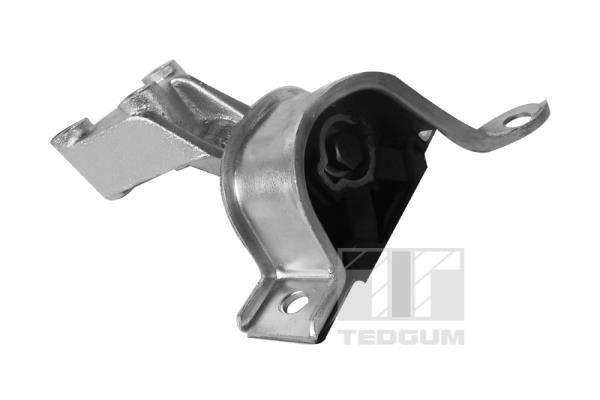 Variklio montavimas TEDGUM 00219179