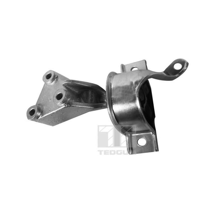 Variklio montavimas TEDGUM 00219179