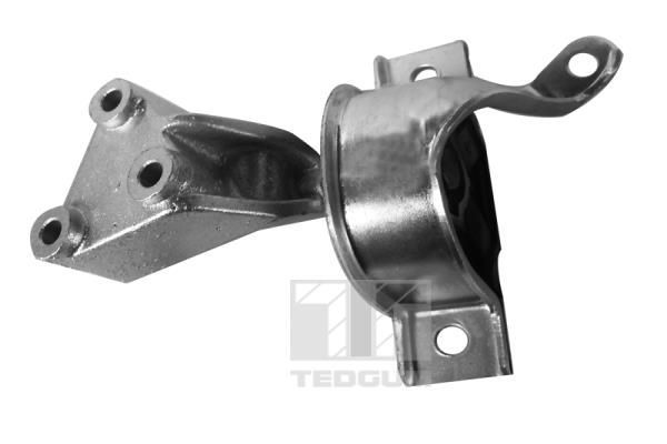 Variklio montavimas TEDGUM 00219179