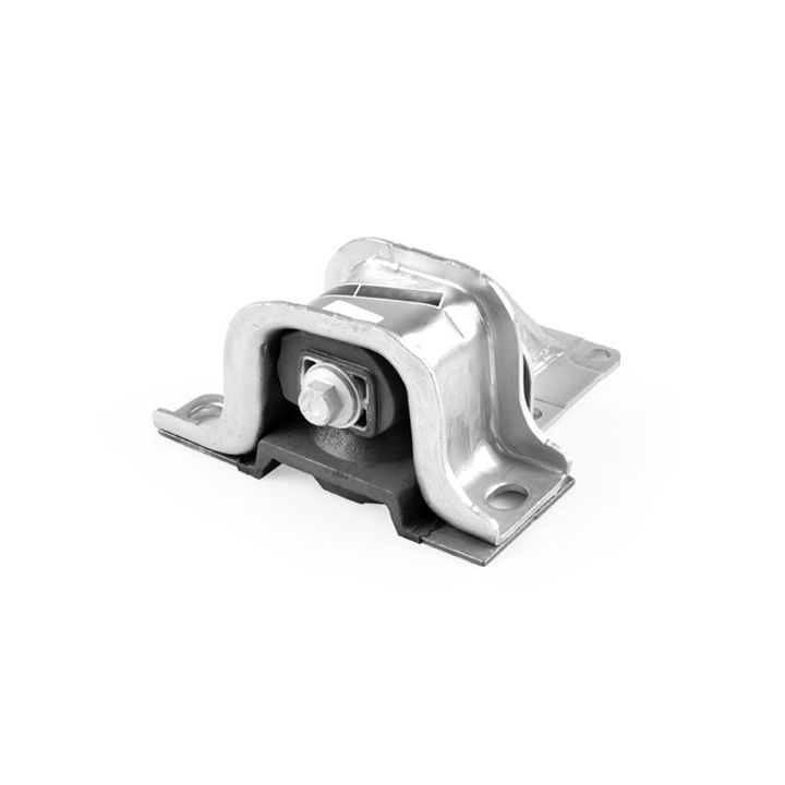 Variklio montavimas TEDGUM 00219302