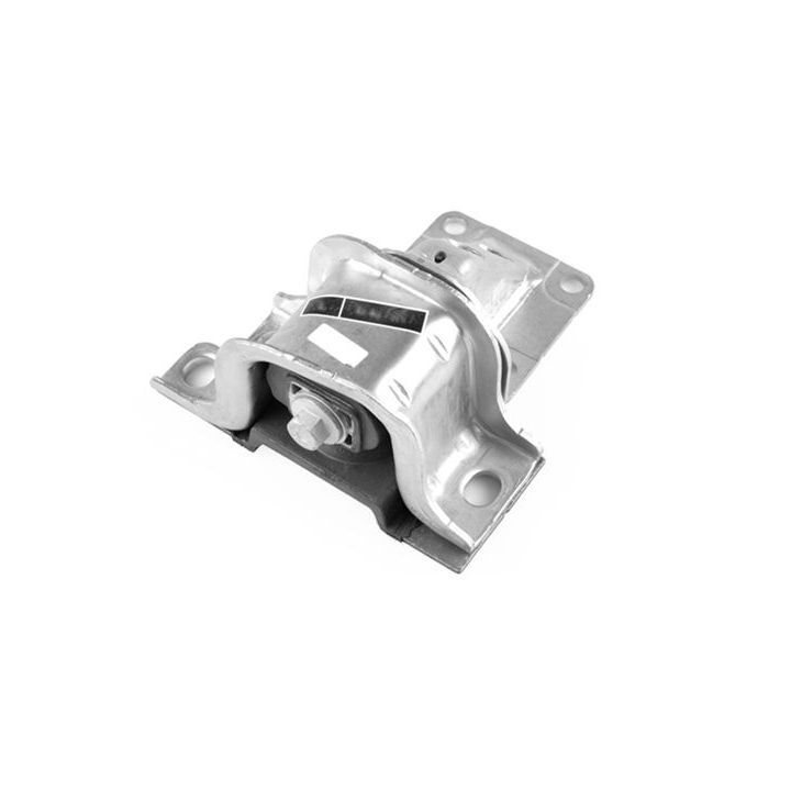 Variklio montavimas TEDGUM 00219302