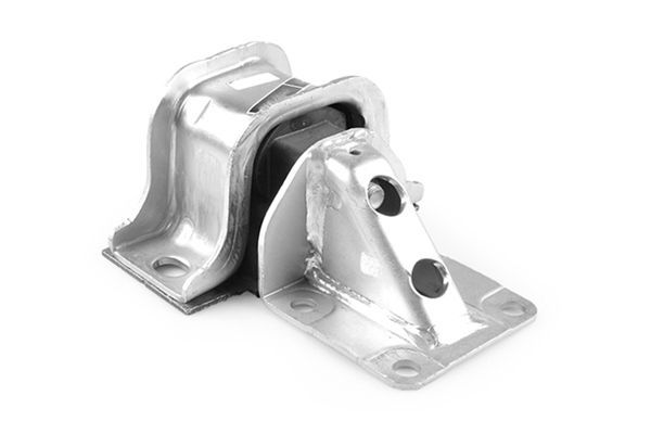 Variklio montavimas TEDGUM 00219302