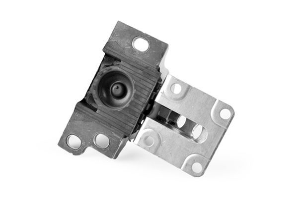 Variklio montavimas TEDGUM 00219302