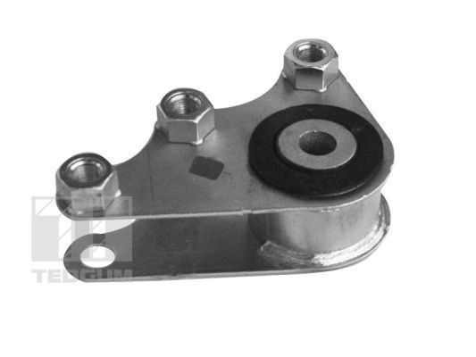 Variklio montavimas TEDGUM 00219338